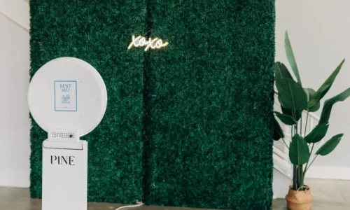 Edits-23-731x1024-1-rkhavdxb9e6dsntvct2gavb0gce5p3zoyukc3a7p2w